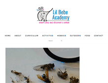 Tablet Screenshot of lilbebeacademy.net